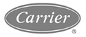 Carrier logo